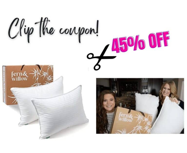 Fern and Willow Pillows 45% off!!