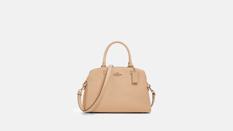 This is my FAVORITE purse and insane price!