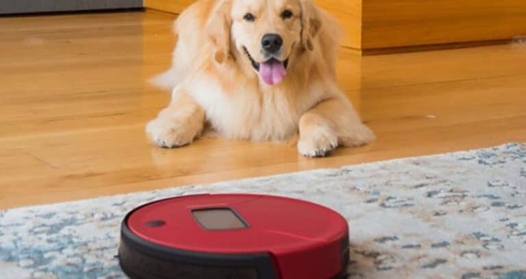 Up to 70% Off bObsweep PetHair Vision Robot Vacuums