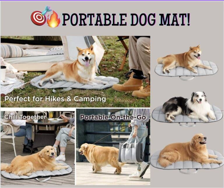 Portable Dog Mat!