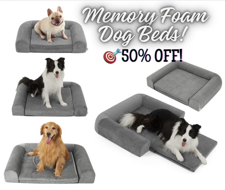 50% off DOG BEDS!