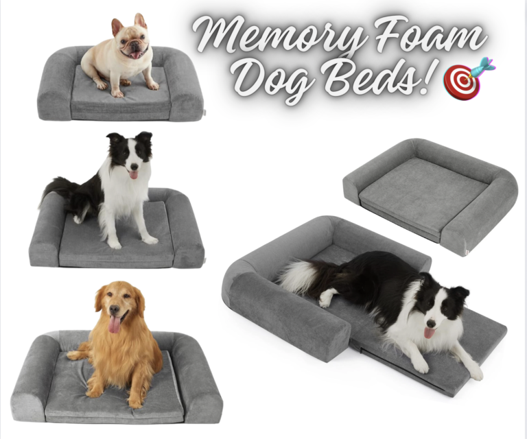 $26 Memory Foam Dog Beds!