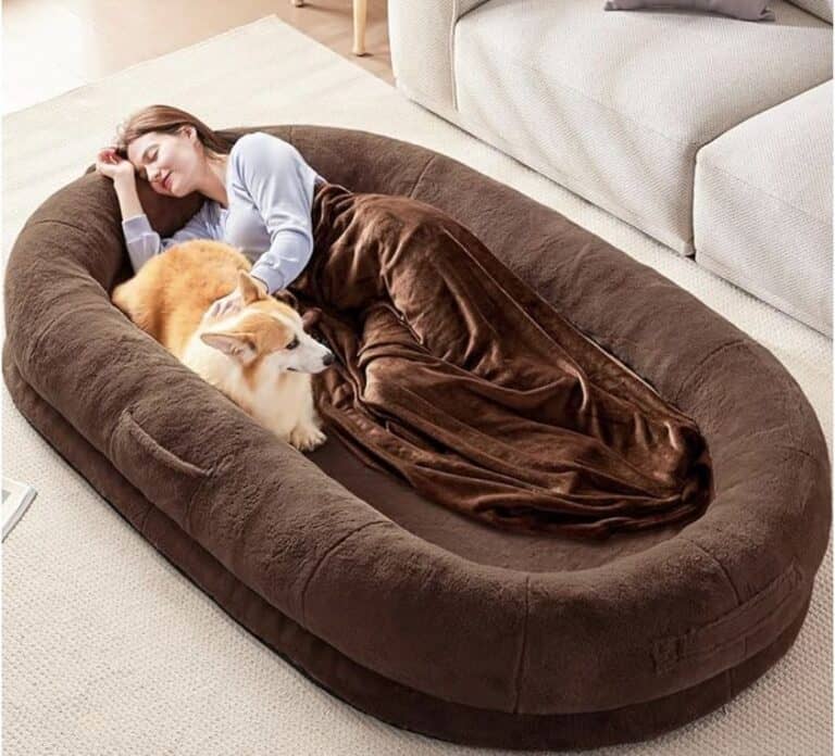 I have not seen this HUGE human sized dog bed this low!