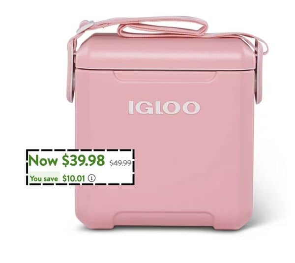 PRICE DROP on this cute pink igloo cooler!!