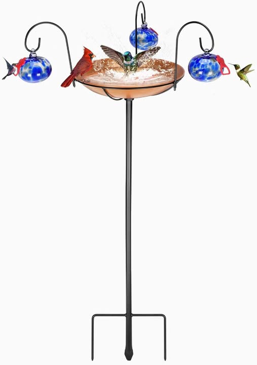 This Hummingbird Feeder/Bath drops 50%off