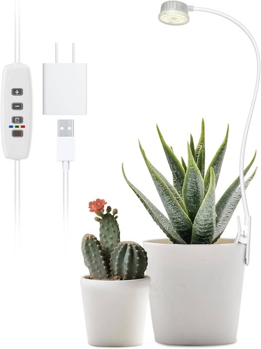 This small grow light is perfect for indoor plants 57% off