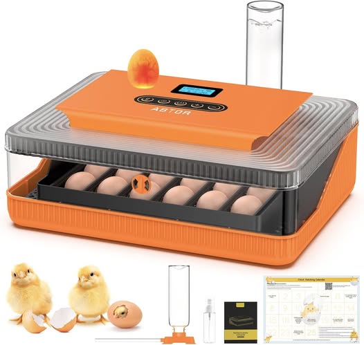 This egg incubator holds 25 eggs and makes hatching easy.