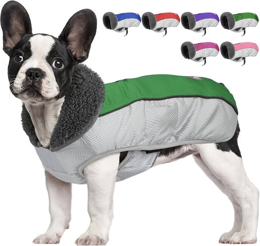 This waterproof dog coat perfect for winter walks