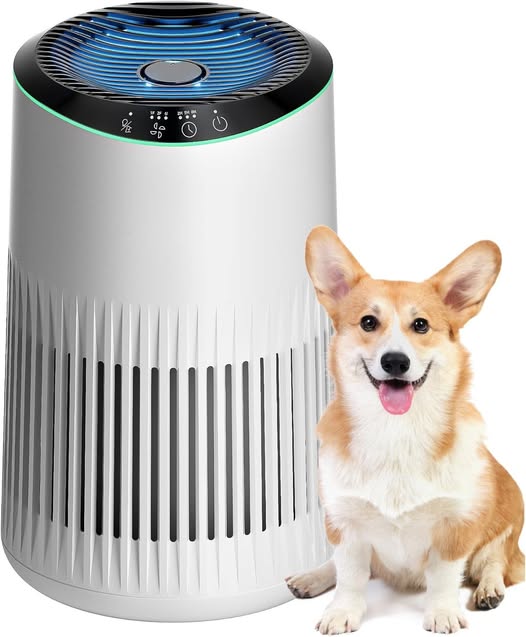 Air purifier with fragrance sponge