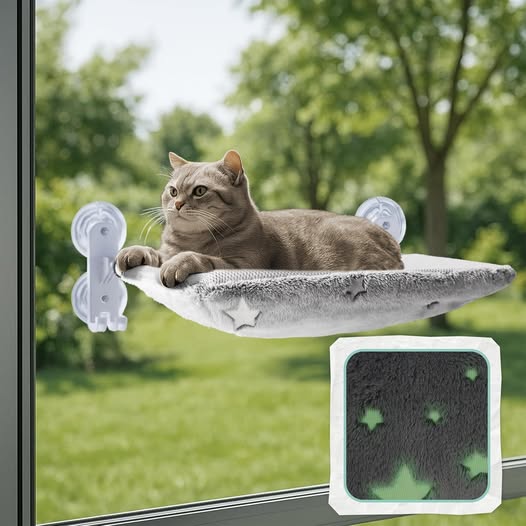 ONLY $13.55!!! This Cat Window Perch drops 43%off