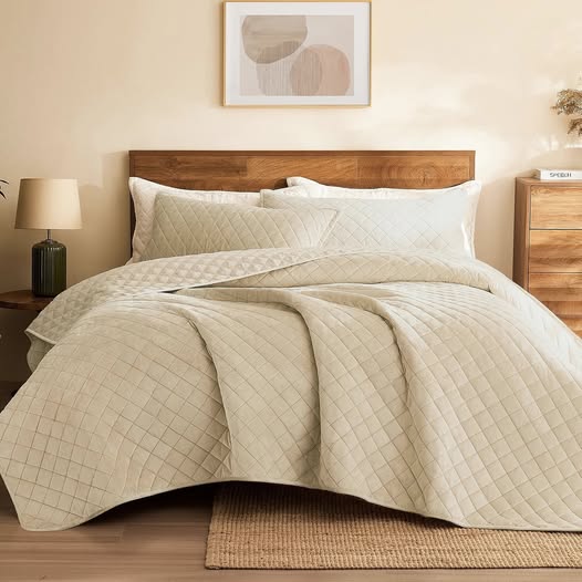 This 3-Piece Reversible Velvet Quilt King Set is 50% off
