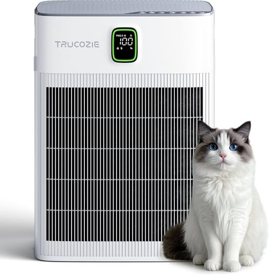 An air purifier is a MUST have especially this time of year!!!!