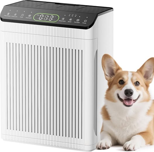Large room air purifier covers up to 2200 sq. ft.
