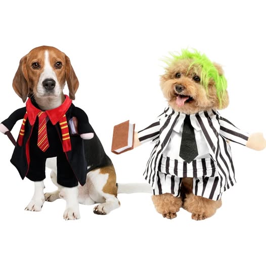 These dog Halloween costumes are cute and hilarious 50% off
