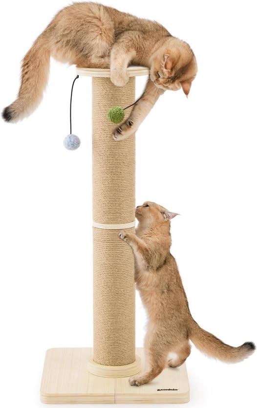 This Cat Scratching Posts drops 40%off