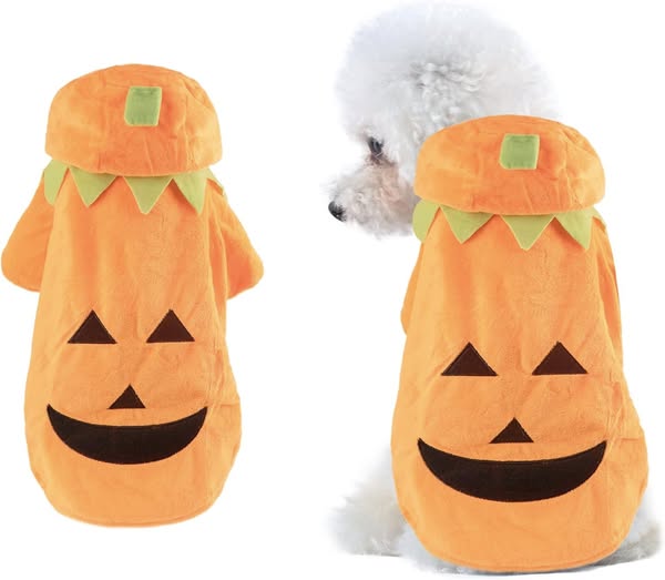 How cute is this pumpkin costume for pets 50% off