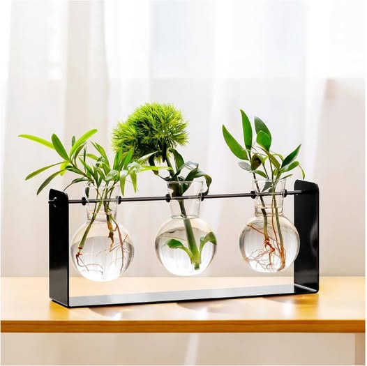 This Plant Propagation Station has a 50% off