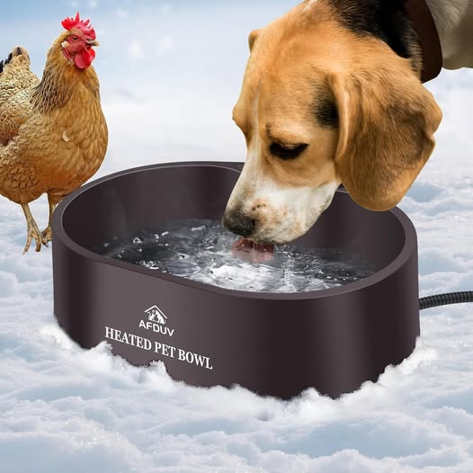 This Heated Pet Water Bowl drops 40%off