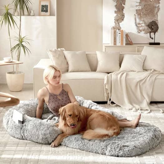 This foldable human sized dog bed is 50% off