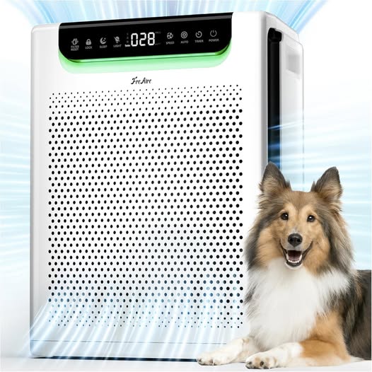 This air purifier is SOOOOO cheap!!!!!!