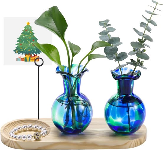 This Plant Propagation Station has a 50% off