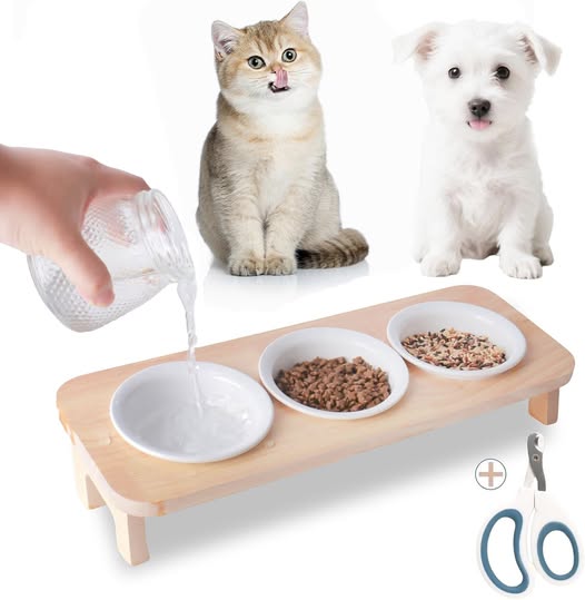 These Elevated Cat Food and Water Bowls are 50% off