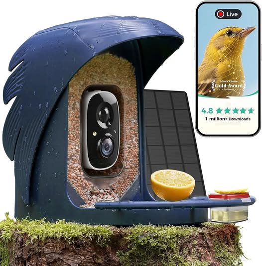 Christmas Gift Idea This PerchMe Smart Bird Feeder is PRETTY and it drops 45%off