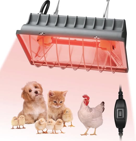 This Adjustable 250W Chicken Coop Heat Lamp for Pets and Reptiles is 50% off