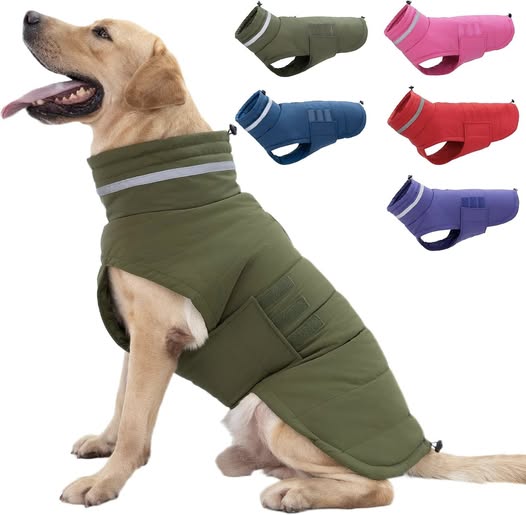 Dog coats!!! Get them for 50% off