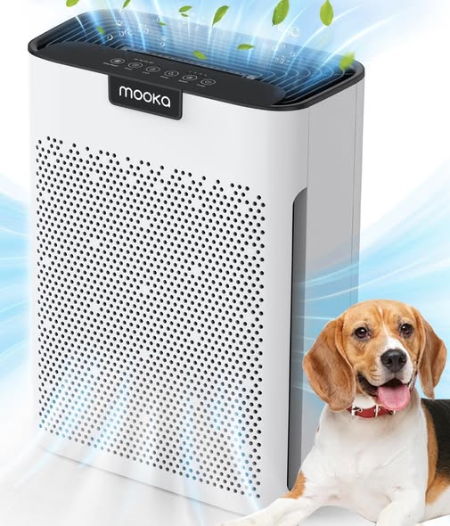 This air purifier for large rooms is 40% off
