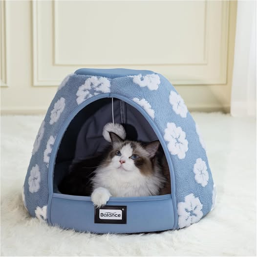 This ADORABLE Cat Bed (Blue) drops 50%off