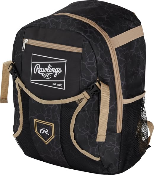 Price drop! This Rawlings Youth Baseball Bag is only $11.50 at the time of this post!