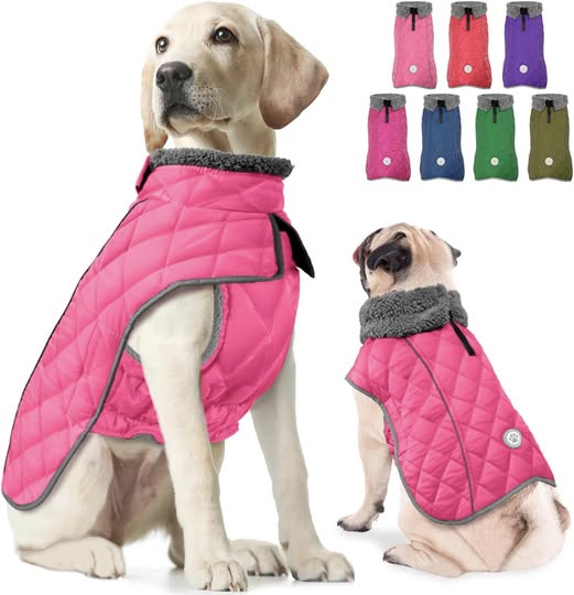 This waterproof fleece lined dog winter coat is 50% off
