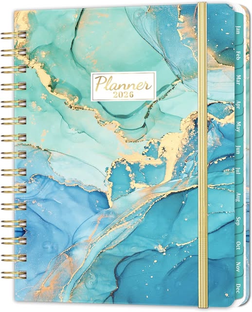 This 2026 Planner is Only $3.99