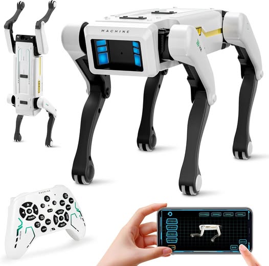 This interactive robot dog listens to voice commands, does kung fu and silly tricks