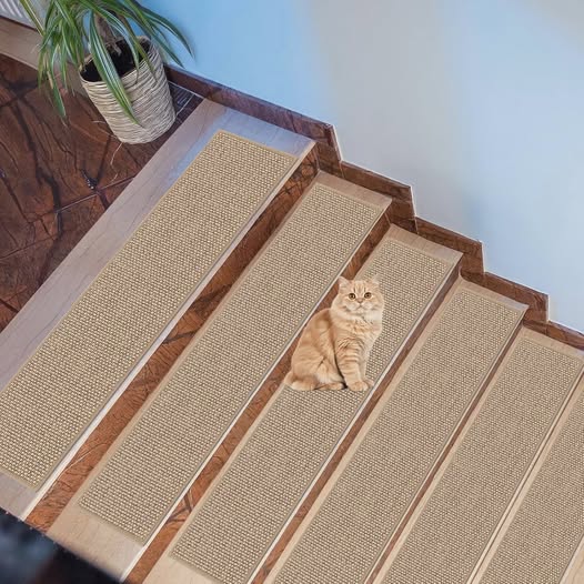 50% off coupon at the time of this post!!!