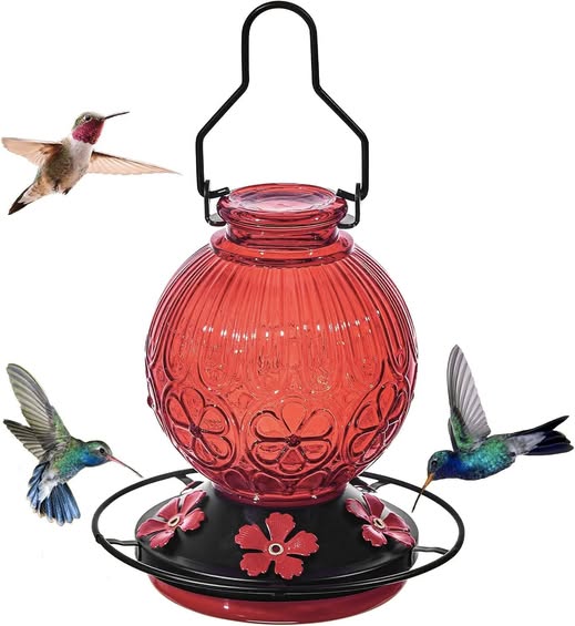 This Hummingbird Feeder is 50% of