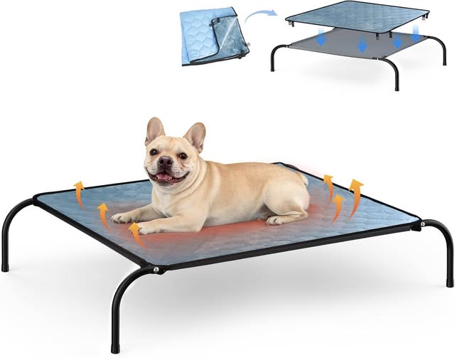 This elevated dog bed is 50% off