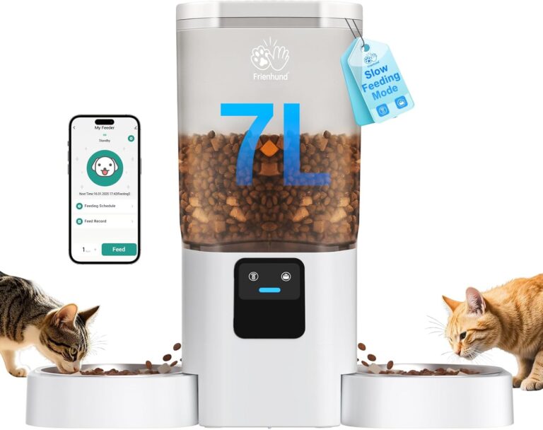 Dual Pet Feeder