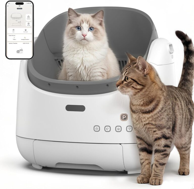 Self Cleaning Litter Box 
