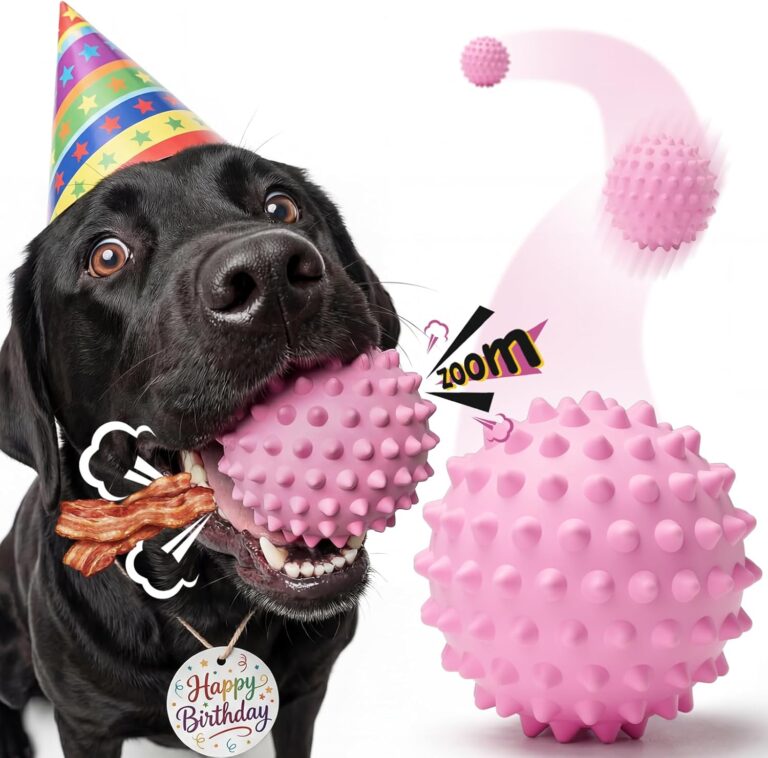 Interactive Squeaky Dog Balls