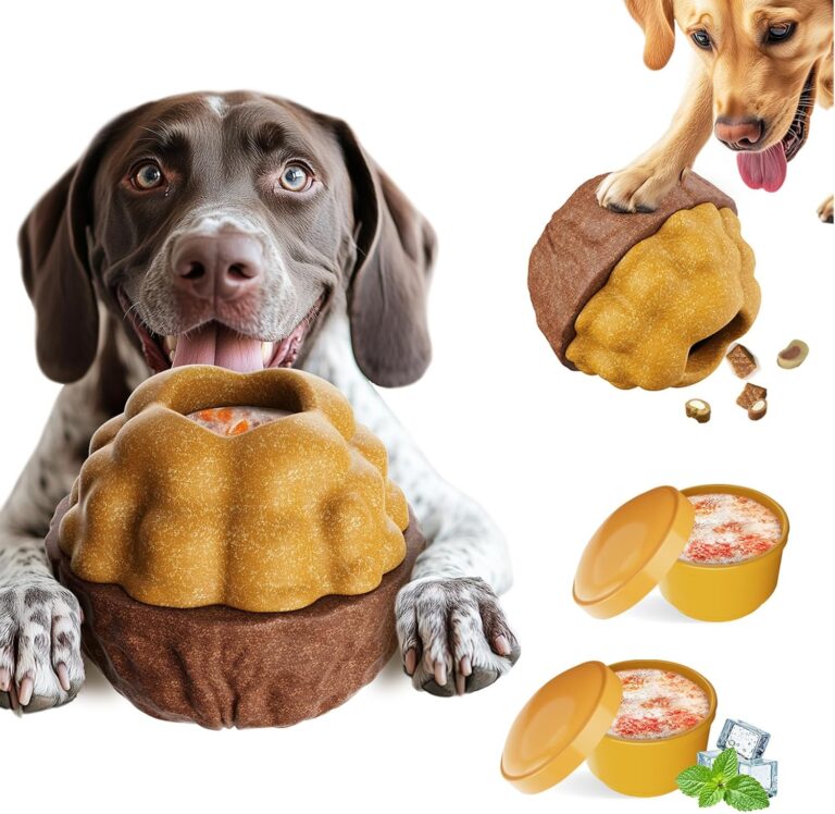 Interactive Frozen Treat Dog Toy