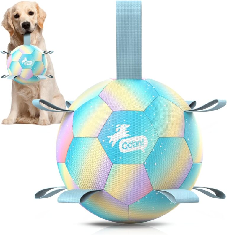 Large Dog Toy Ball