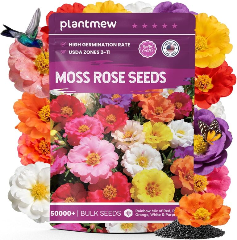 Moss Rose Seeds Bulk Pack - 50,000+ Non-GMO Heirloom Portulaca Seeds